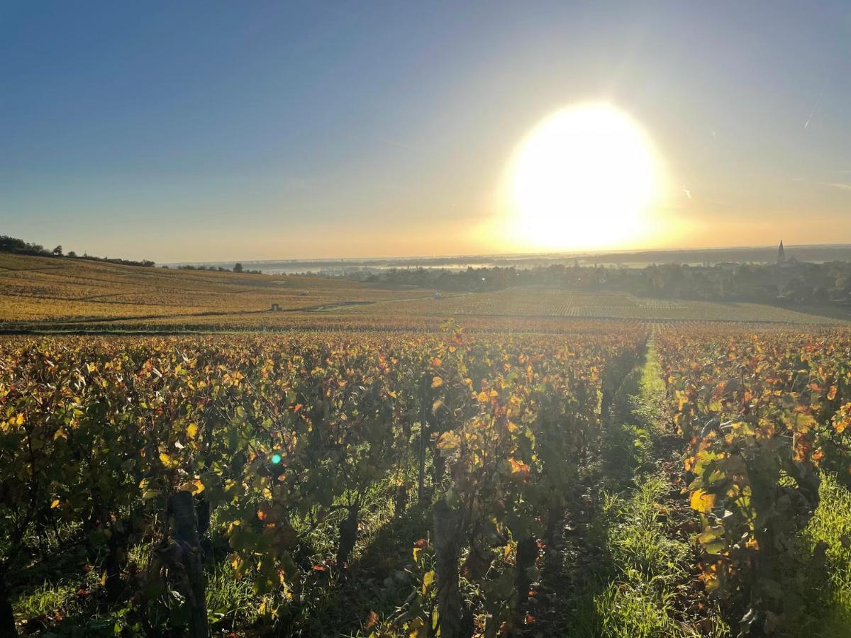 Le Clos De Miribel Гиври Экстерьер фото